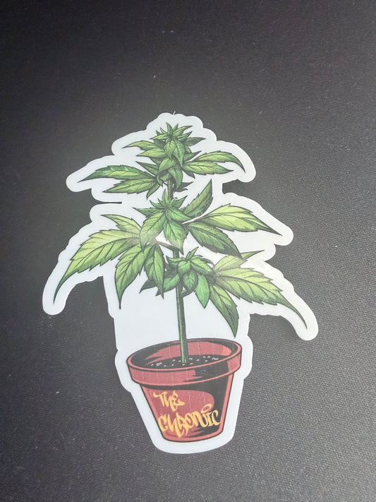 Chronic Sticker